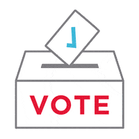 dsuite-vote-count-ballot