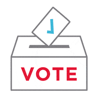 dsuite-vote-count-ballot dsuite-vote-count-ballot